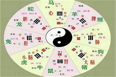 灝五行|琸字的五行是什么,琸的五行属性及吉利寓意